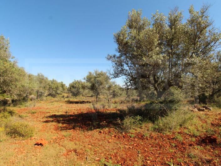 Image No.8-Plot for sale