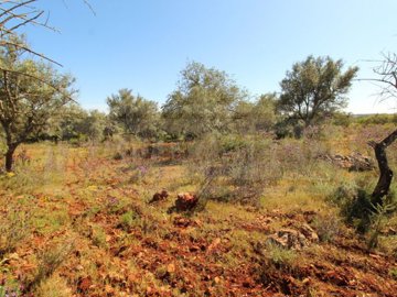 ide3b74101-0000-0500-0000-00000e419cfe