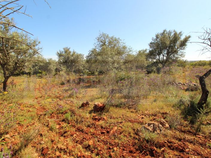 Image No.9-Plot for sale