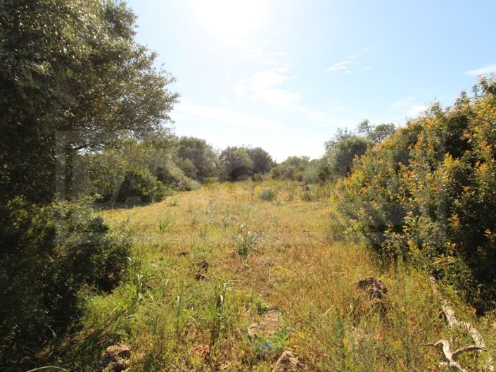 Image No.1-Plot for sale