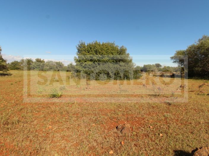 Image No.10-Plot for sale