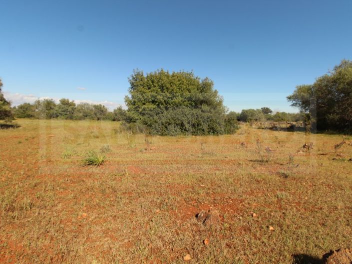 Image No.10-Plot for sale