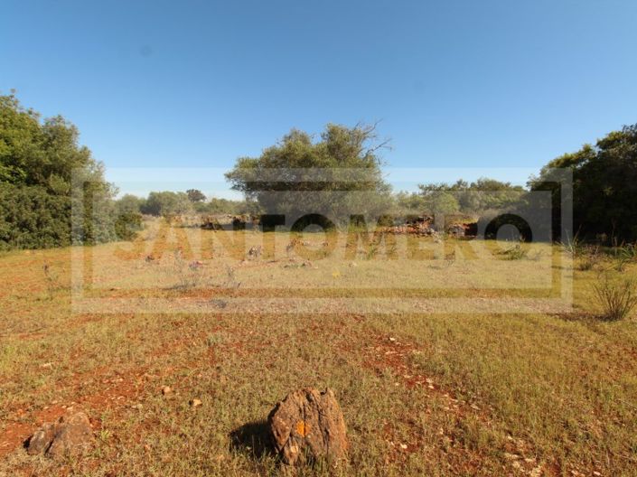 Image No.11-Plot for sale