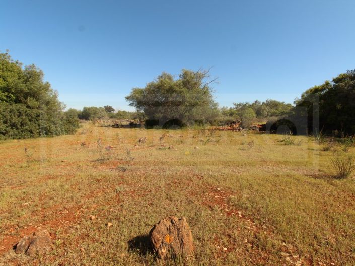 Image No.11-Plot for sale