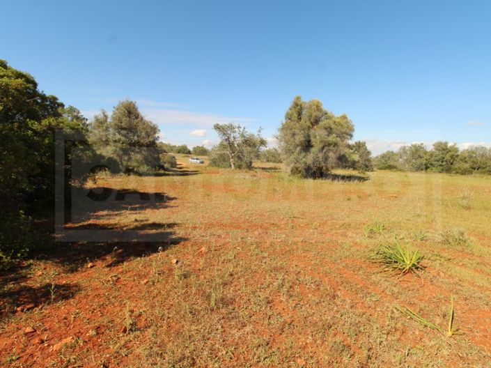 Image No.12-Plot for sale