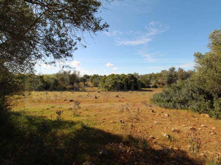 Image No.13-Plot for sale