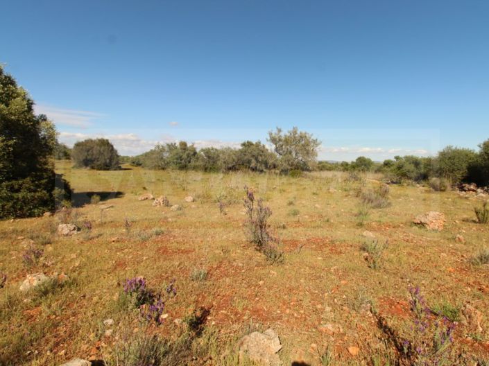 Image No.14-Plot for sale