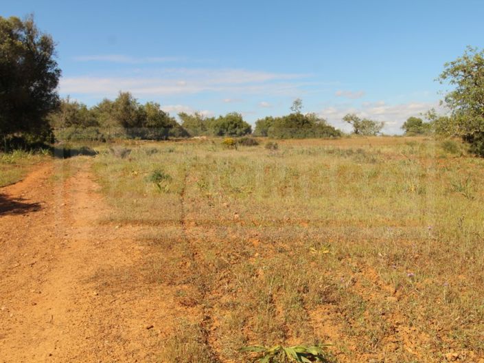 Image No.2-Plot for sale