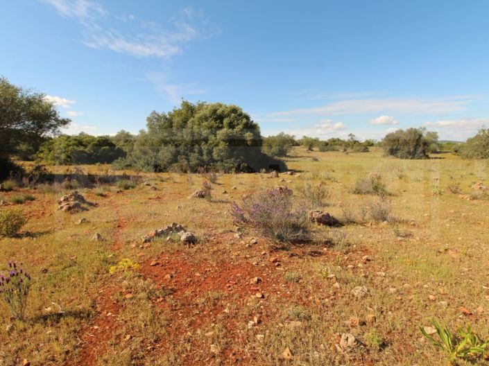 Image No.3-Plot for sale