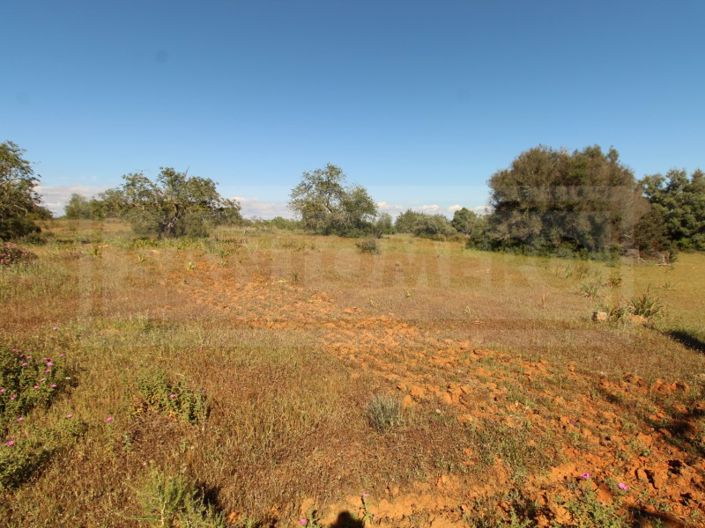 Image No.4-Plot for sale