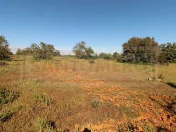 id76b84101-0000-0500-0000-00000e41abbd