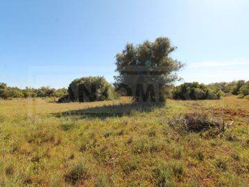 id76b84101-0000-0500-0000-00000e41abbe