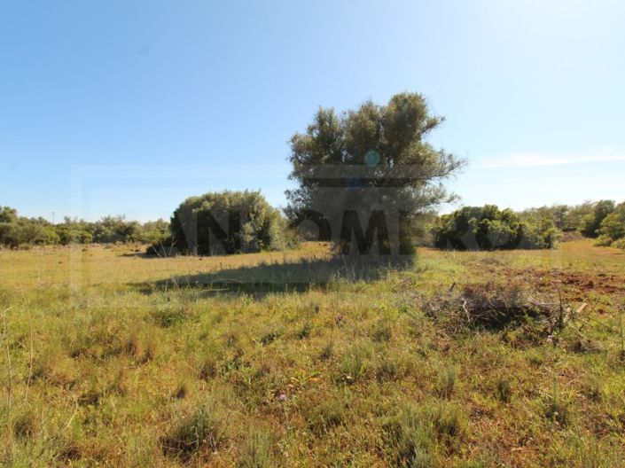 Image No.5-Plot for sale