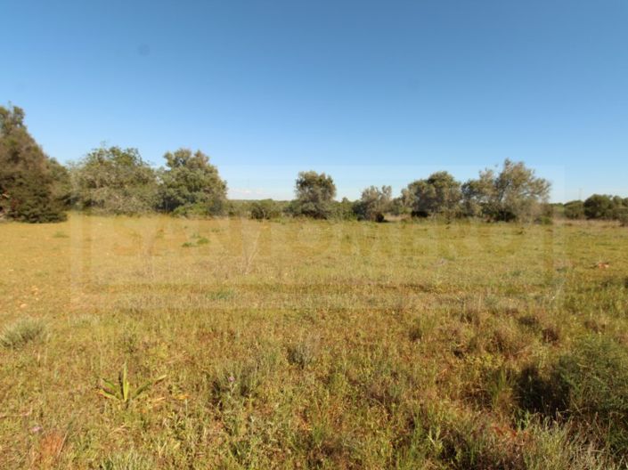 Image No.6-Plot for sale