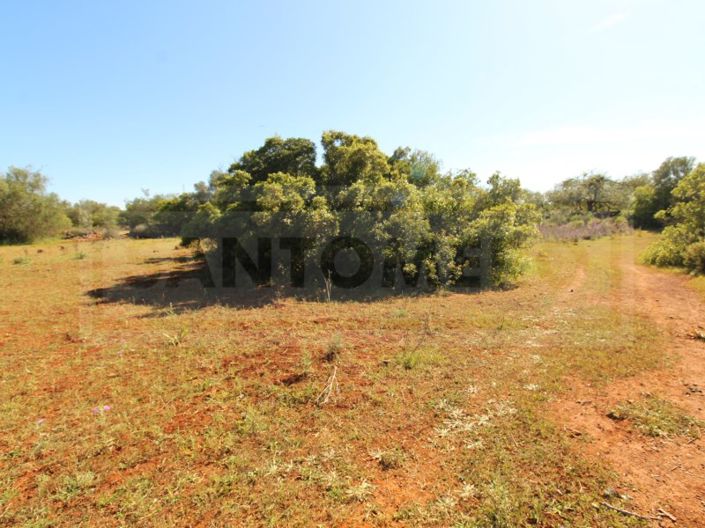 Image No.8-Plot for sale