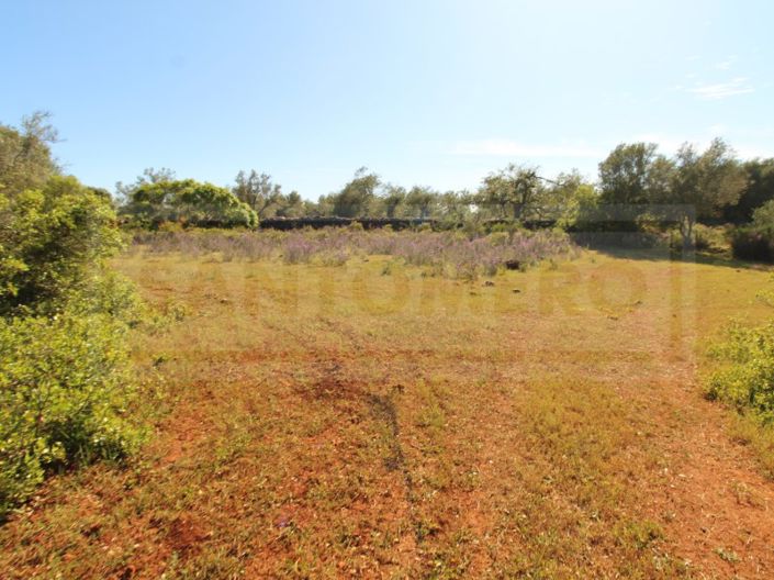 Image No.9-Plot for sale