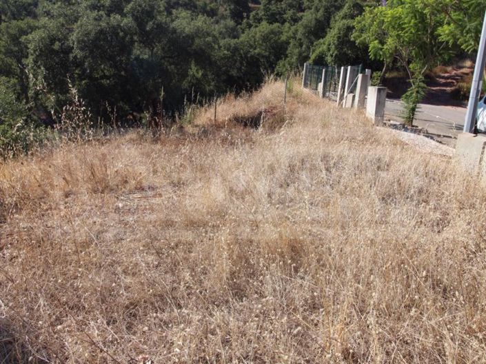 Image No.2-Terrain à vendre à Silves