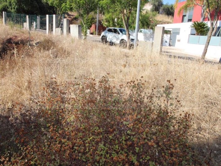 Image No.4-Terrain à vendre à Silves