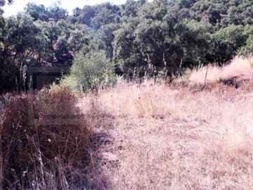 id29b24701-0000-0500-0000-00000e9d1171