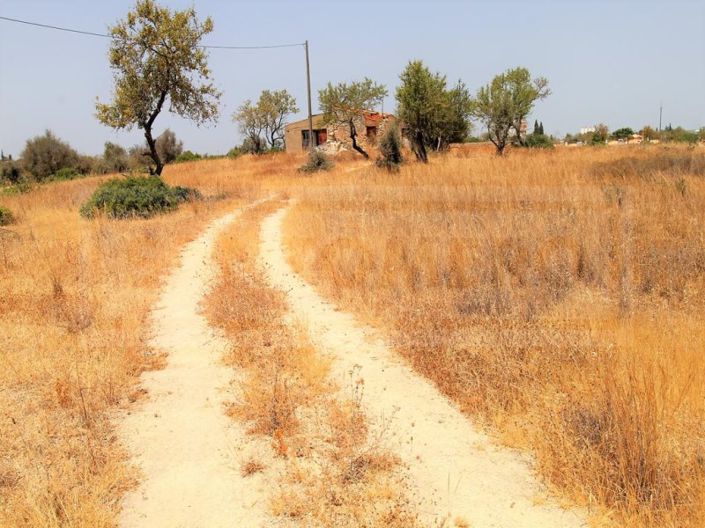 Image No.1-Farmhouse for sale