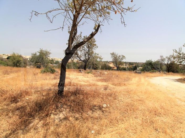 Image No.10-Farmhouse for sale