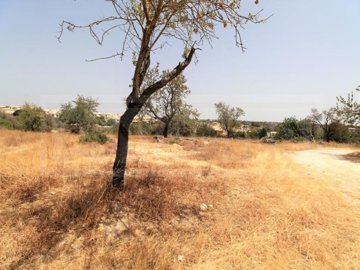 idf7905d01-0000-0500-0000-0000101f609c