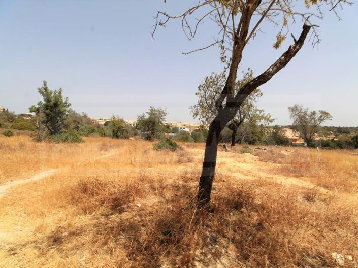 Image No.11-Farmhouse for sale