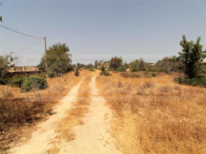 Image No.12-Farmhouse for sale