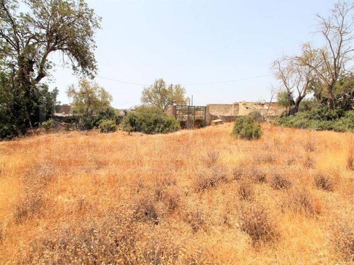 Image No.13-Farmhouse for sale