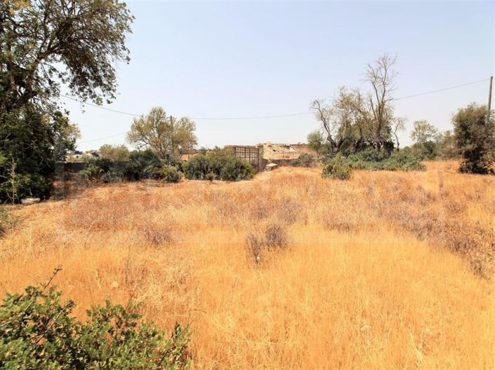 Image No.2-Farmhouse for sale