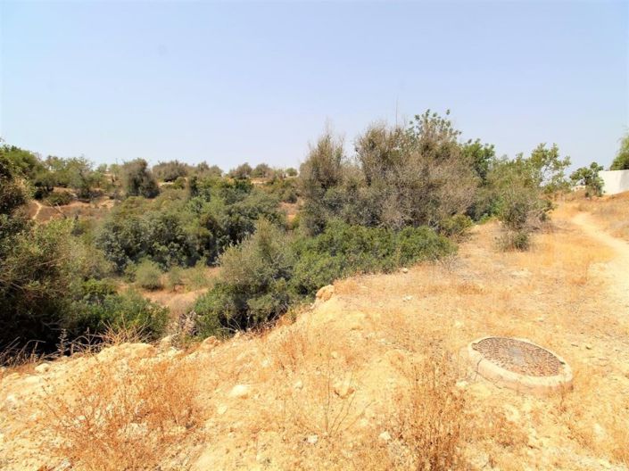 Image No.5-Farmhouse for sale