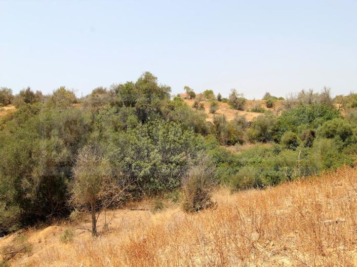 Image No.6-Farmhouse for sale