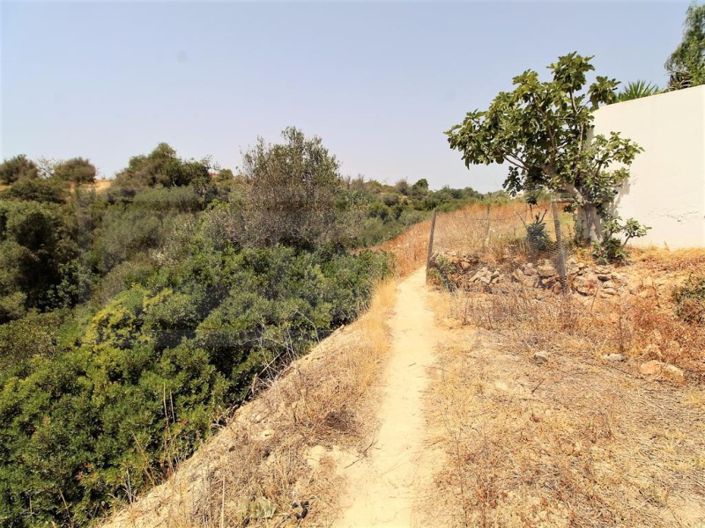 Image No.7-Farmhouse for sale