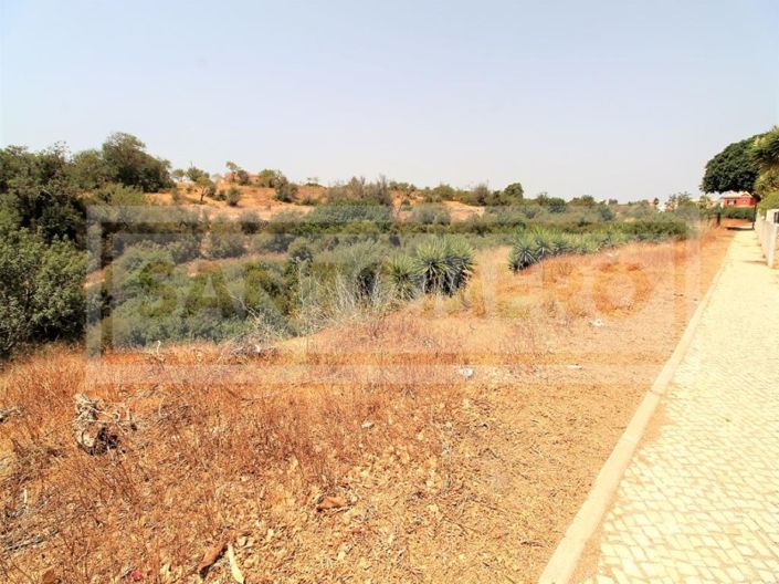 Image No.8-Farmhouse for sale