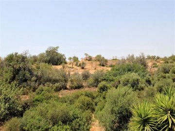 idf7905d01-0000-0500-0000-0000101f609b