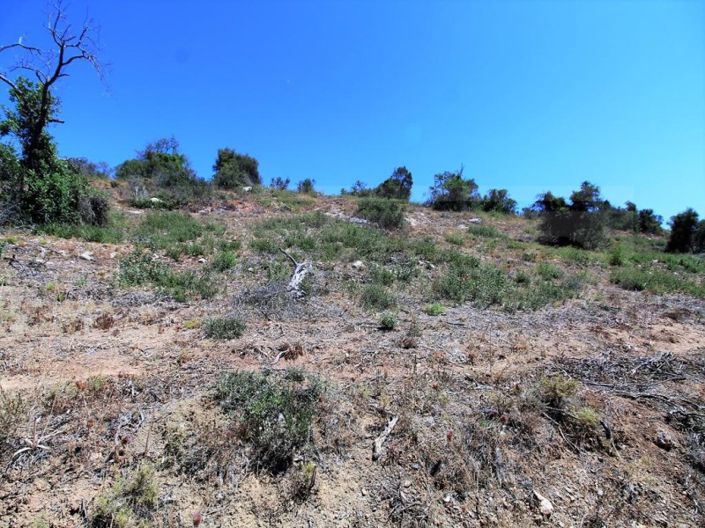 Image No.13-Plot for sale