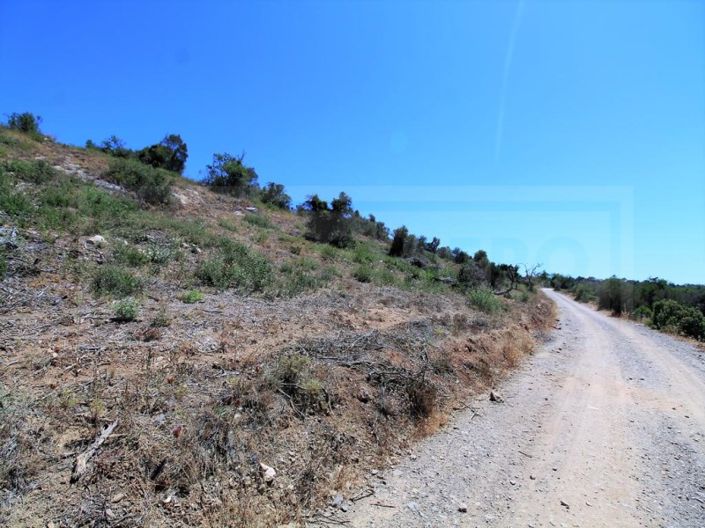 Image No.3-Plot for sale