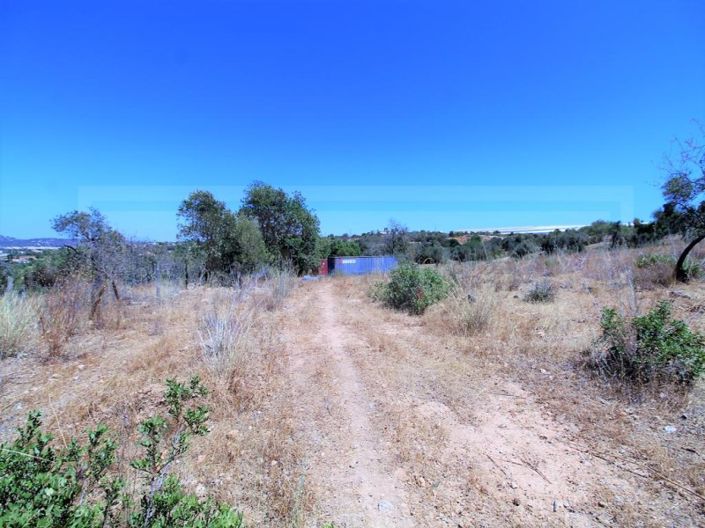 Image No.4-Plot for sale