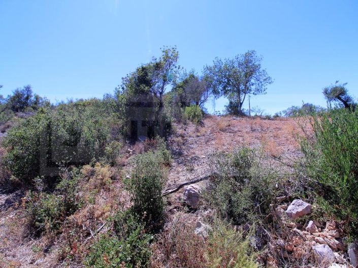 Image No.5-Plot for sale