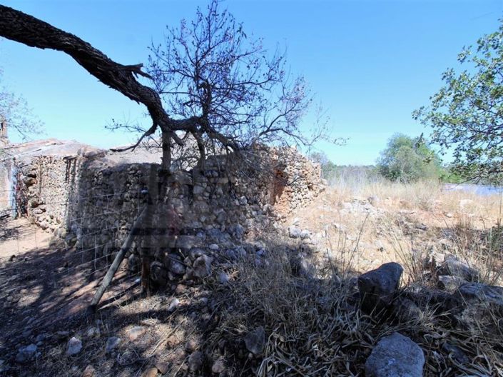 Image No.6-Plot for sale