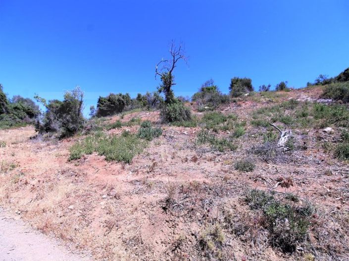 Image No.7-Terrain à vendre à Silves