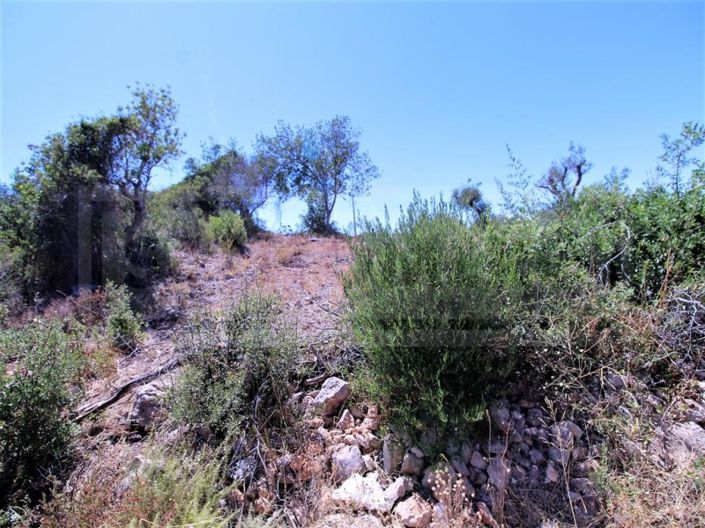 Image No.8-Plot for sale