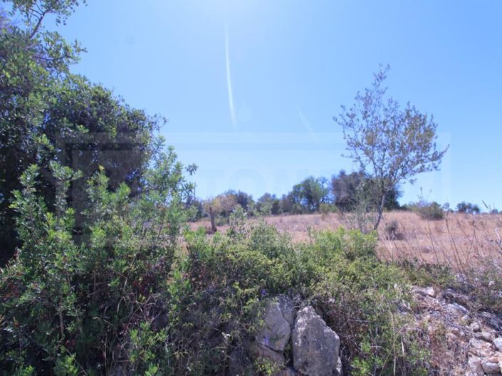 Image No.9-Plot for sale