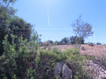 id9eb35d01-0000-0500-0000-000010225b24