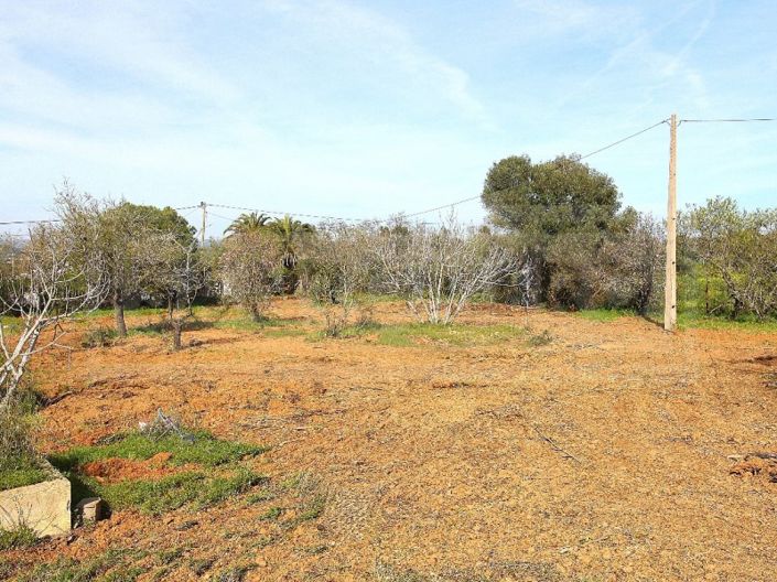 Image No.28-House for sale