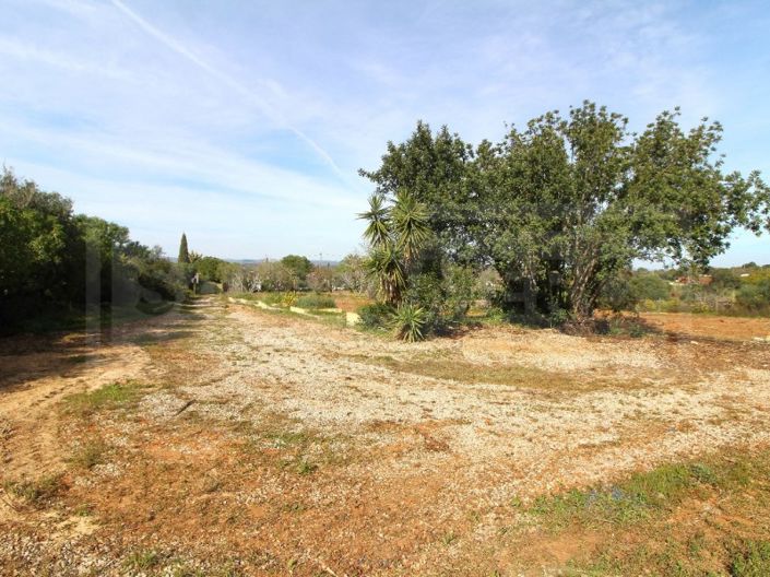 Image No.32-Maison à vendre à Lagoa