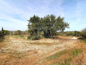 id061b6701-0000-0500-0000-000014964a8e