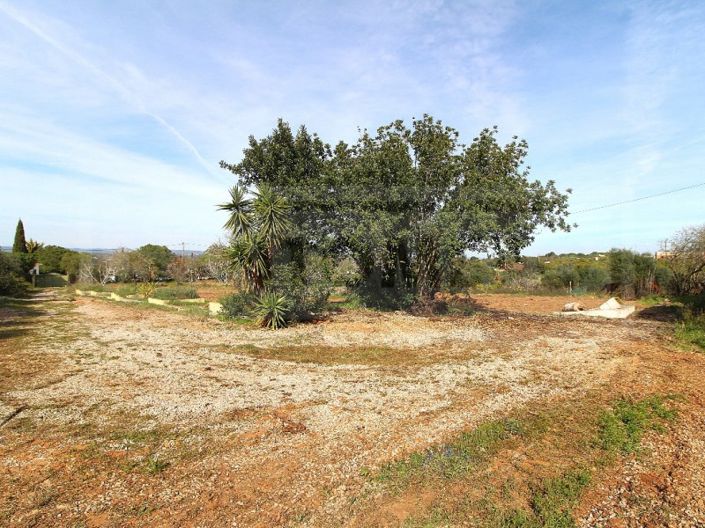 Image No.4-Maison à vendre à Lagoa