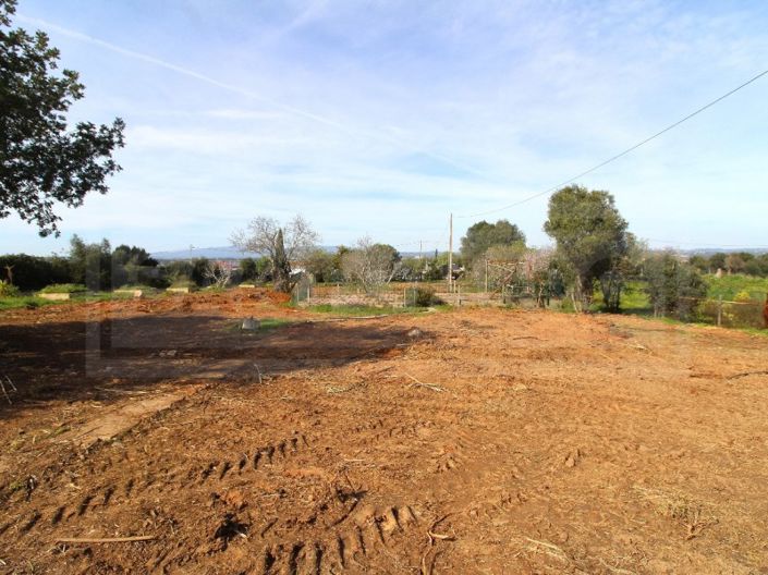 Image No.5-Maison à vendre à Lagoa