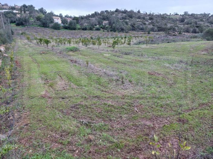 Image No.1-Plot for sale